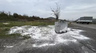 Samsun'da 9 Köpeğin Ölümü Üzerine Soruşturma Başlatıldı