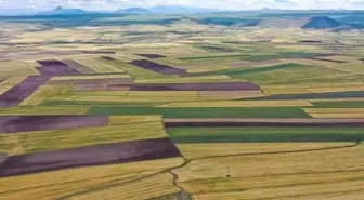 Yatırımda rota değişti, arsa değerinin en çok arttığı 10 il belli oldu