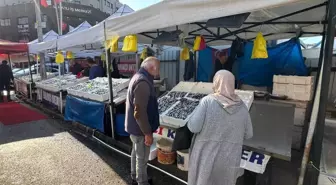 Zonguldak'ta Hamsi Sezonu Sonlanıyor, Farklı Balık Türlerine Yönelim Başladı