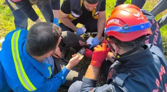 Adana'da Motorlu Testere Kazası: Bir Kişi Kurtarıldı