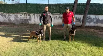 Batman'ın Narkotik Köpekleri Hector ve Mailo, Uyuşturucu ile Mücadelede Başarı Hikayesi Yazıyor