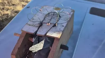 Kars'ta Kaçak Şahin Avcılığına 661 Bin Lira Ceza