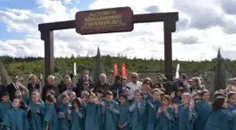 ALJ Türkiye, Ağaçlandırma Seferberliği'nin ilk adımı İzmir'de attı