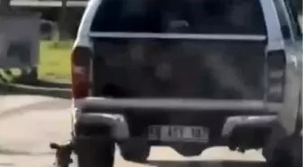 Muğla'da Köpeğin Sürüklenmesi Olayında İki Şüpheli Gözaltında