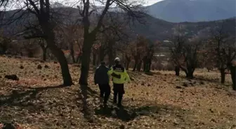 Kaybolan Genç Jandarma Ekipleri Tarafından Bulundu