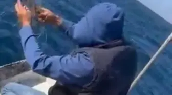 Amatör Balıkçı Caretta Carettayı Kurtardı