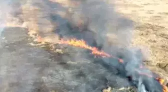 Van'da Çırak Sazlığı'nda Yangın Çıktı