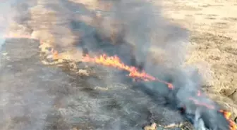 Van'da Çırak Sazlığı'nda Yangın Çıktı