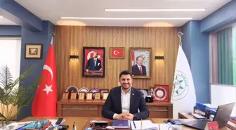 Yığılca'da Gök Taşı Düştü İddiası: Araştırma Başlatıldı