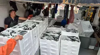 Marmara Denizi'nde Lodos Sonrası Balık Avı Bereketli Geçti