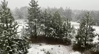 Balıkesir'in Sındırgı İlçesinde Kar Yağışı