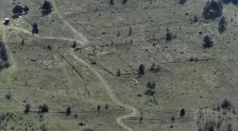 Kaybolan 30 Küçükbaş Hayvan Dronla Bulundu