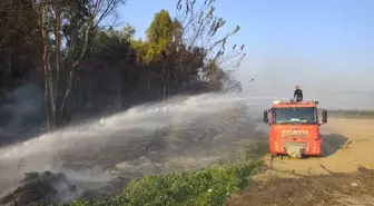 Hatay'da Ağaçlık Alanda Yangın Söndürüldü