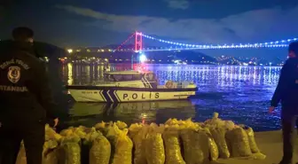 İstanbul'da Yasak Bölgede Toplanan 2 Ton Midyeye El Konuldu