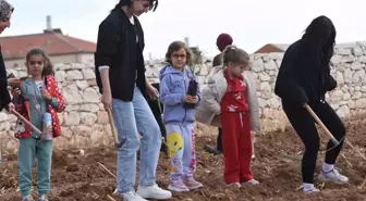 Karaman'da Fidan Dikim Etkinliği