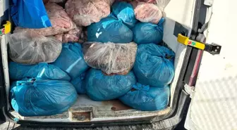 Tekirdağ'da 2 Ton Kaçak Sakatat Ele Geçirildi
