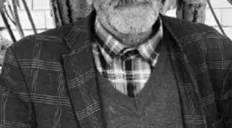 Van'da Geri Manevra Yapan Kişi, 70 Yaşındaki Babasını Ezerek Öldürdü