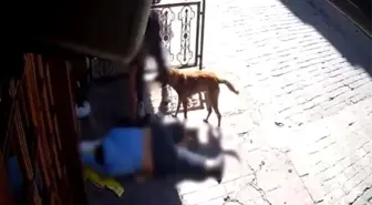 Sara Nöbeti Geçiren Adamın Eşyalarını Çalan İki Şahıs 2 Ay Sonra Yakalandı