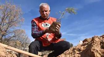 Emekli Ormancı Halil Başkalkan'ın Doğa Sevgisi ve Gelecek Nesillere Mesajı