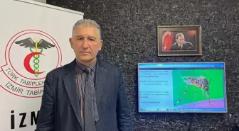 İzmir'de İklim Değişikliği Sivrisinek Sorununu Artırıyor