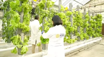 TENMAK'tan İklim Değişikliğine Uygun Yeni Tarım Çalışmaları