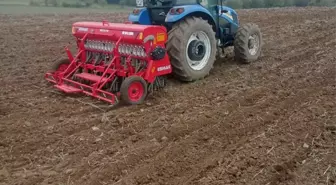 Altın Daneler Projesi ile Yerli Buğday Yaygınlaştırılıyor