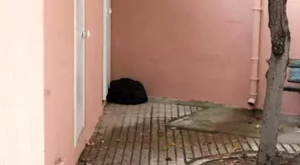 Efeler'de Cami Avlusunda Şüpheli Çanta Paniği