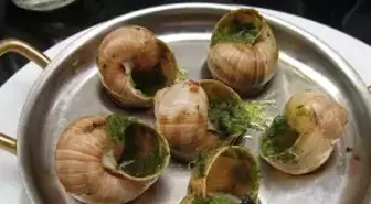 Fransa'da bir çiftlikten 4 milyon TL değerinde salyangoz çalındı