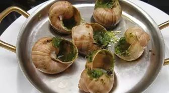 Fransa'da bir çiftlikten 4 milyon TL değerinde salyangoz çalındı