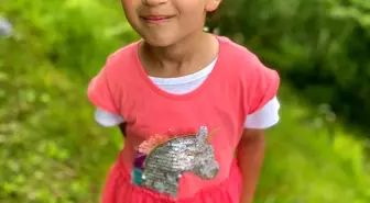 Minik Elif, Trafik Kazasında Hayatını Kaybetti