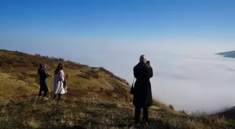 Muş'ta Görüş Mesafesini Düşüren Yoğun Sis