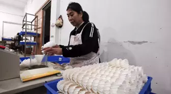 Lu'an Kenti, Yapay Zeka ile Kaz Tüyü Tedarikinde Öne Çıkıyor