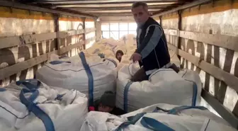 Amasya'da tırda çuvalların arasında 13 kaçak göçmen yakalandı