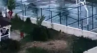 Ankara'da Pitbull Saldırısı: İki Çocuk Yaralandı, Sahibi Gözaltına Alındı