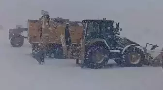 Ağrı'nın Yüksek Kesimlerinde Kar Yağışı Etkili Oldu