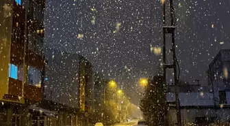 Erzurum, Ardahan ve Kars'ta İlk Kar Yağışı Etkili Oldu