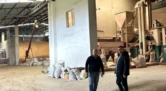 Lüleburgaz'da Sertifikalı Tohum Denetimleri Gerçekleştirildi