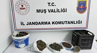Muş'ta Uyuşturucu Operasyonu: 1.5 Kilo Esrar Ele Geçirildi