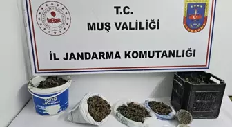 Muş'ta Uyuşturucu Operasyonu: 1 Kilo 350 Gram Esrar ve Kenevir Ele Geçirildi