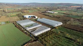 Tekirdağ'da Üreticilere 70 Futbol Sahası Büyüklüğünde Sera Naylonu Dağıtıldı