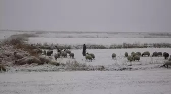 Van'da merada koyun otlatan çobanlar kara yakalandı