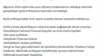 Bakan Şimşek: Son 2,5 yılın en düşük aylık enflasyonu gerçekleşti