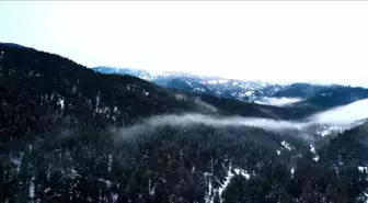 Beyaza bürünen Ilgaz Dağı havadan görüntülendi