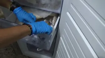 Dolandırdıkları kişiden aldıkları 85 bin avroyu derin dondurucuya saklamışlar