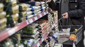 Enflasyon kasım ayında yüzde 0,87 arttı, yıllık bazda yüzde 31,07 oldu