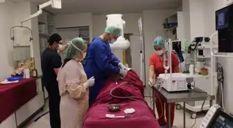 Eskişehir'de yabancı hekimlere girişimsel radyolojide kapalı yöntemle tedavi öğretildi