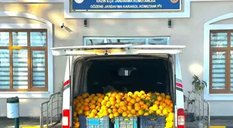 Hatay'da bahçeden portakal çalan 5 şüpheli gözaltına alındı
