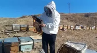 Kışa hazırlanan üreticiden sahte bal uyarısı