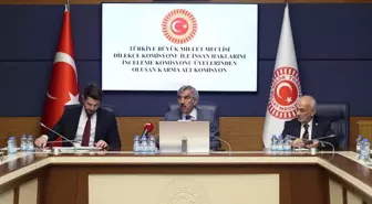 TBMM Karma Alt Komisyonunda kamu denetçisi adayları belirlendi