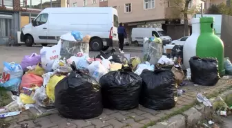Maltepe'de Çöpler Birikti, İşçiler İş Bıraktı